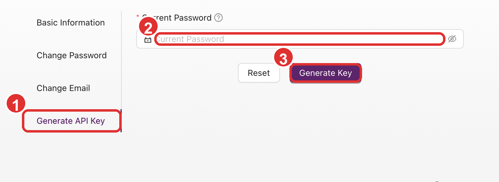 Generate API Key tab