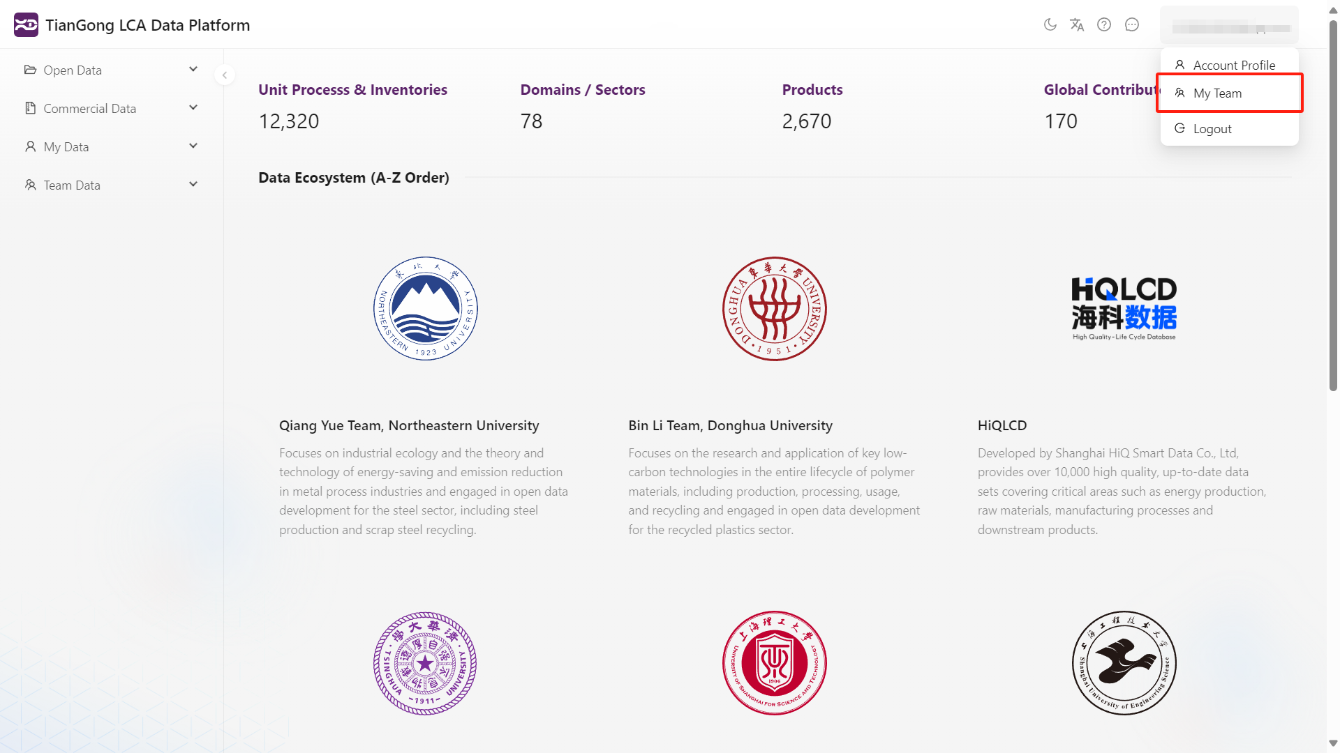 Team Management Interface