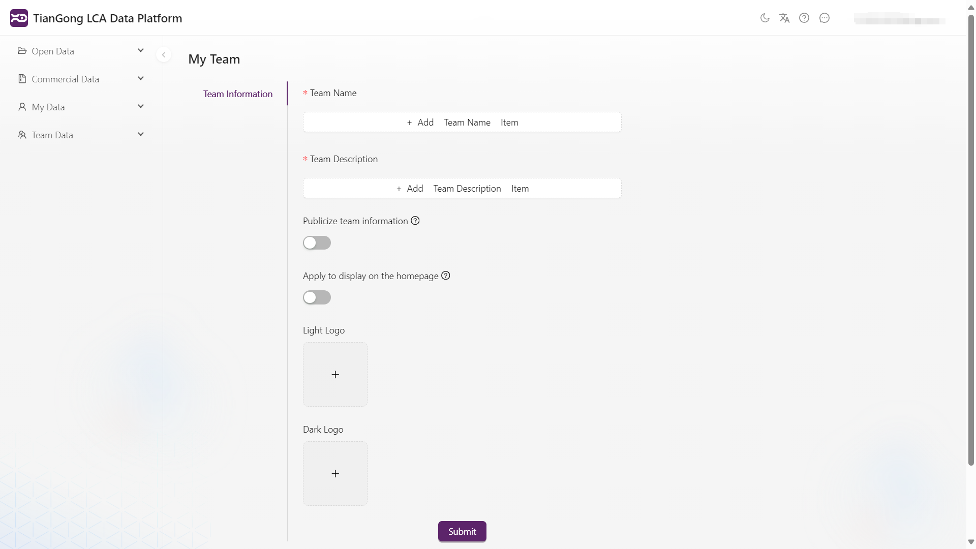 Team Information Form